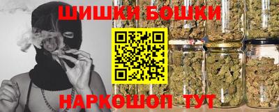 прущие грибы Можга