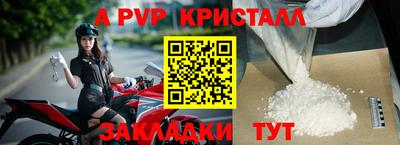 прущие грибы Можга
