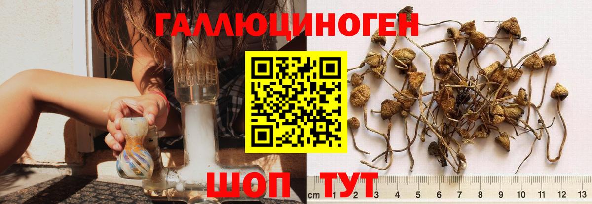 Галлюциногенные грибы мицелий Октябрьский