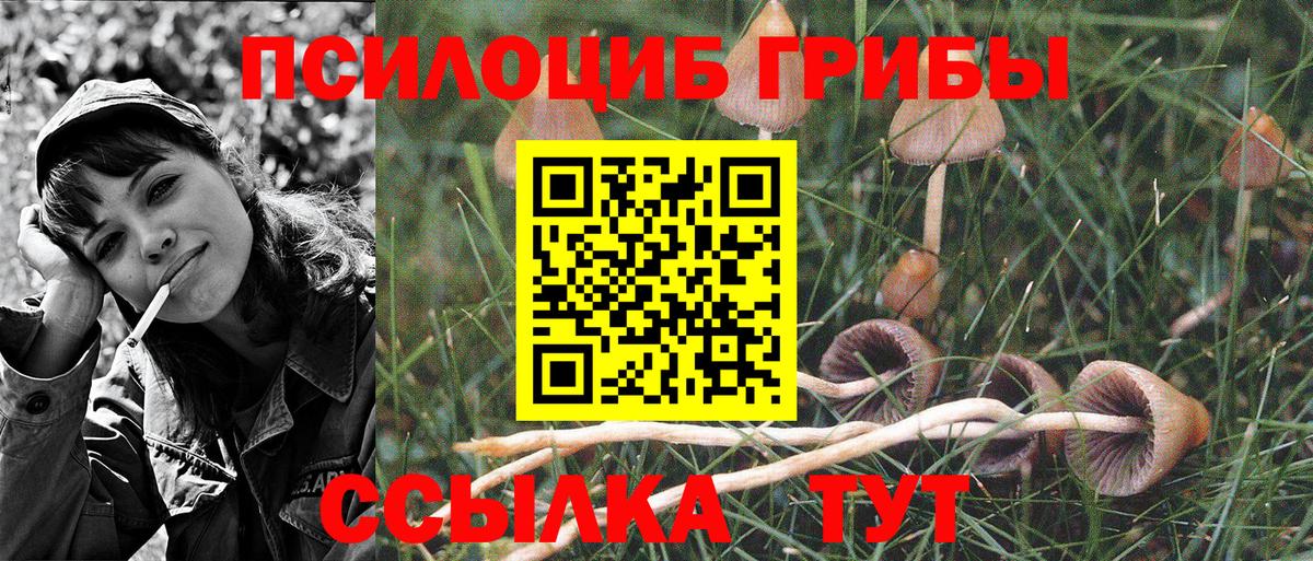Псилоцибиновые грибы Октябрьский